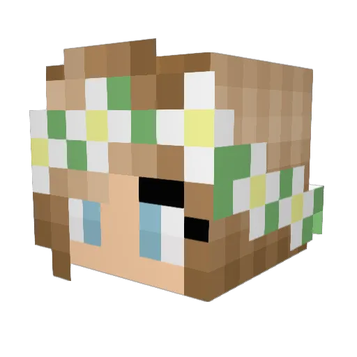 TheFox749 Minecraft avatar head, 3D render