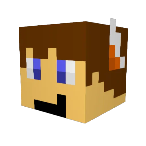 TheFox86 Minecraft avatar head, 3D render