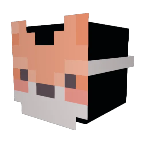TheFoxAsylum Minecraft avatar head, 3D render