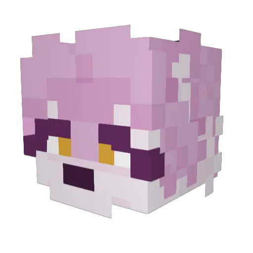 TheFoxFire Minecraft avatar head, 3D render
