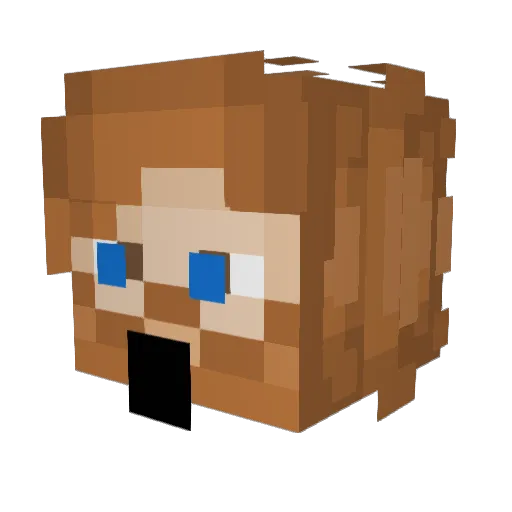 TheFoxtrot06 Minecraft avatar head, 3D render