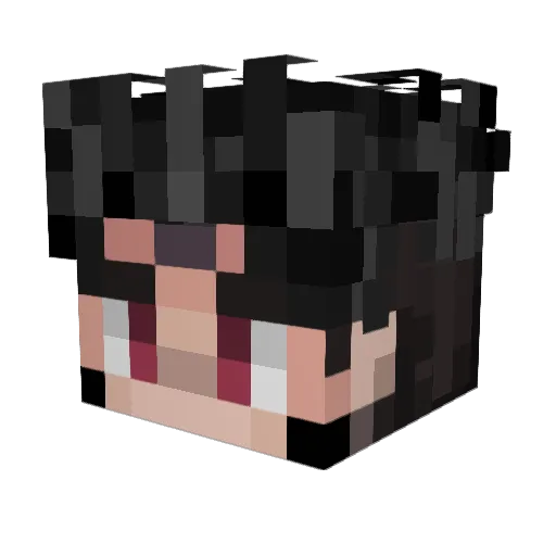 TheFraudulentOn Minecraft avatar head, 3D render