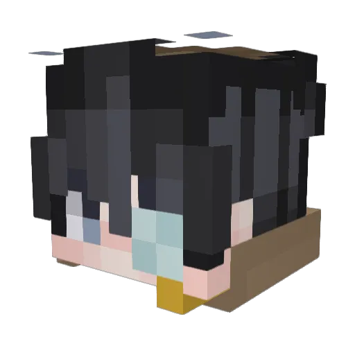 TheFreezeGang Minecraft avatar head, 3D render