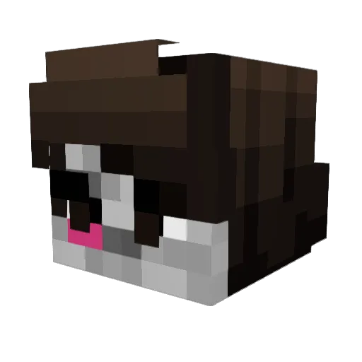 TheFriendlyEnder Minecraft avatar head, 3D render
