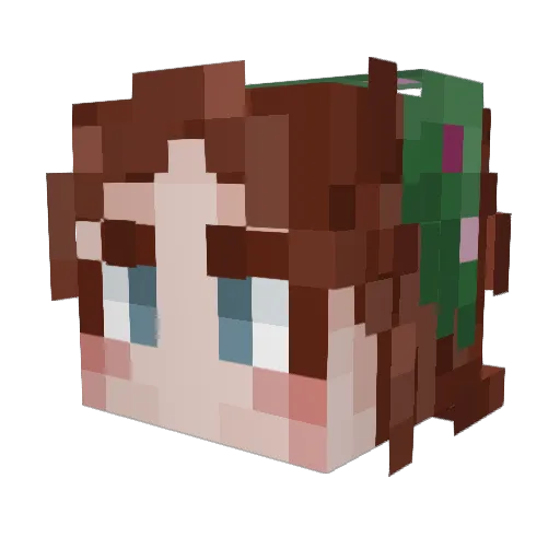 TheFriendlyToast Minecraft avatar head, 3D render