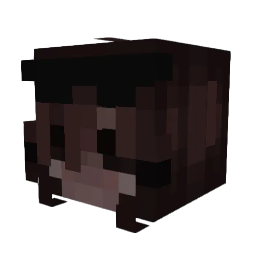 TheFrogFairry Minecraft avatar head, 3D render