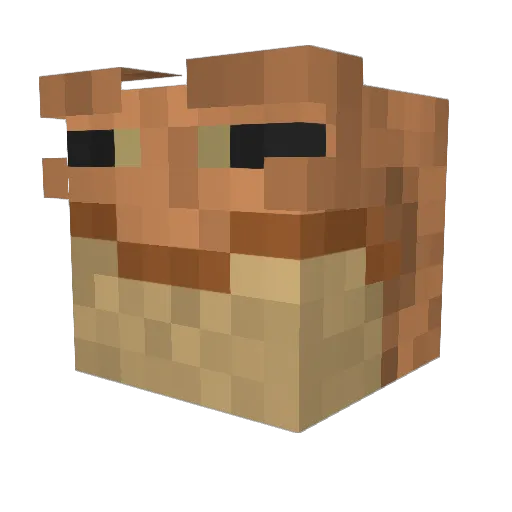 TheFrogKing53 Minecraft avatar head, 3D render