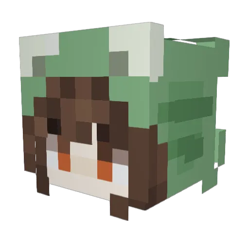 TheFrogW1zard Minecraft avatar head, 3D render
