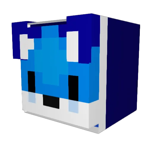 TheFrostFox1206 Minecraft avatar head, 3D render
