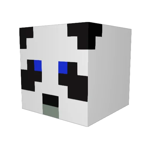 TheFruityAsian Minecraft avatar head, 3D render