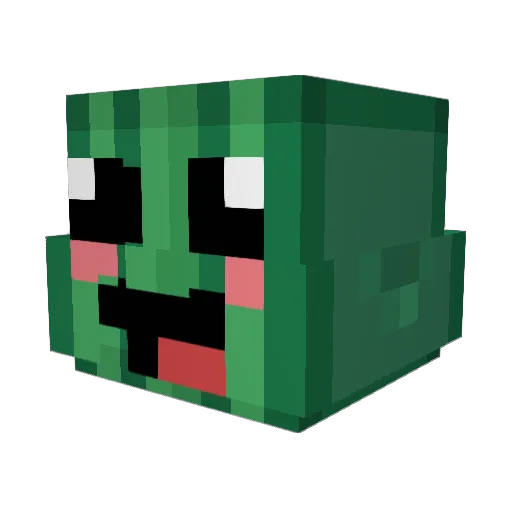 TheFruityGuy Minecraft avatar head, 3D render