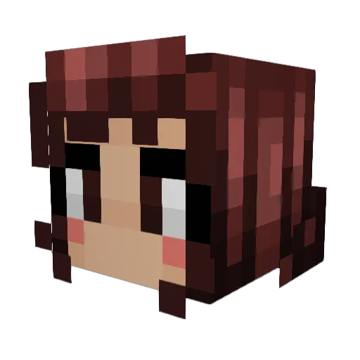 TheFumblingPanda Minecraft avatar head, 3D render