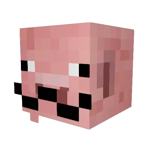 TheFunnyMan2 Minecraft avatar head, 3D render