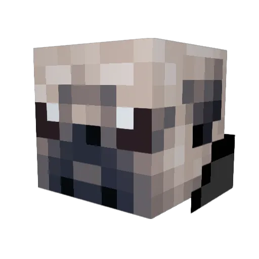 TheFuriousPug Minecraft avatar head, 3D render