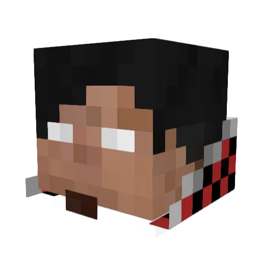 TheFurrow Minecraft avatar head, 3D render