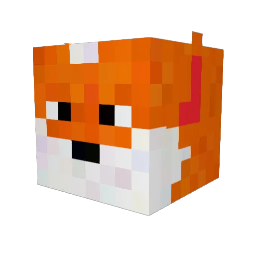 TheFurryFoxx Minecraft avatar head, 3D render