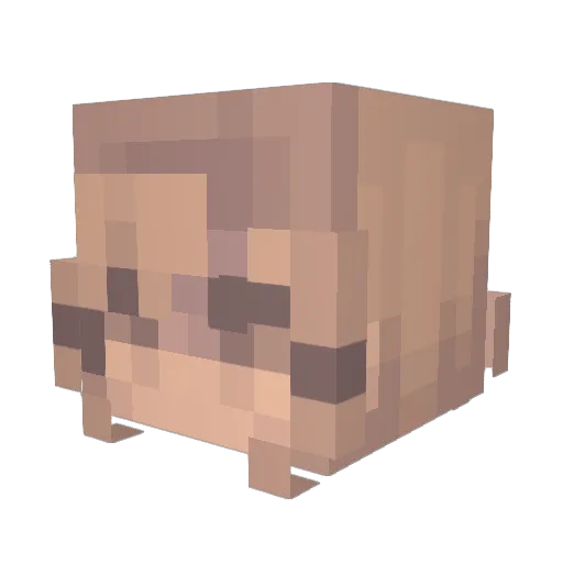 TheFurryGamer_YT Minecraft avatar head, 3D render