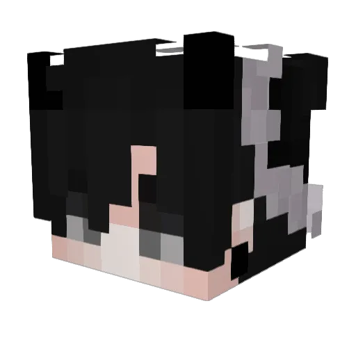 TheFutureD Minecraft avatar head, 3D render