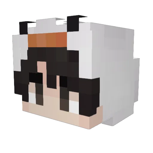 TheG00seIsMuddy Minecraft avatar head, 3D render