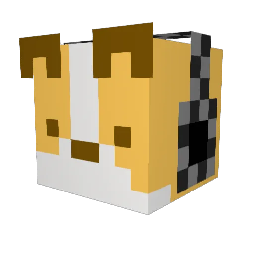TheGaMingD0GG Minecraft avatar head, 3D render