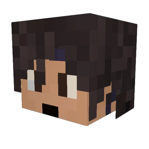 TheGalaxyLegend Minecraft avatar head, 3D render