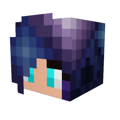 TheGalaxyPhoenix Minecraft avatar head, 3D render