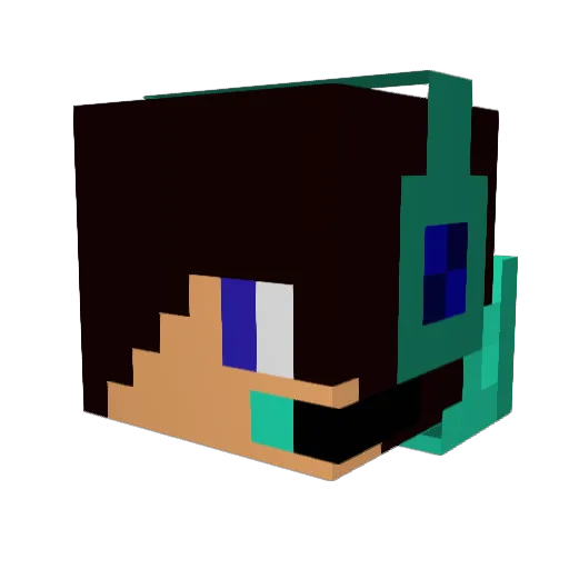 TheGamePork11 Minecraft avatar head, 3D render