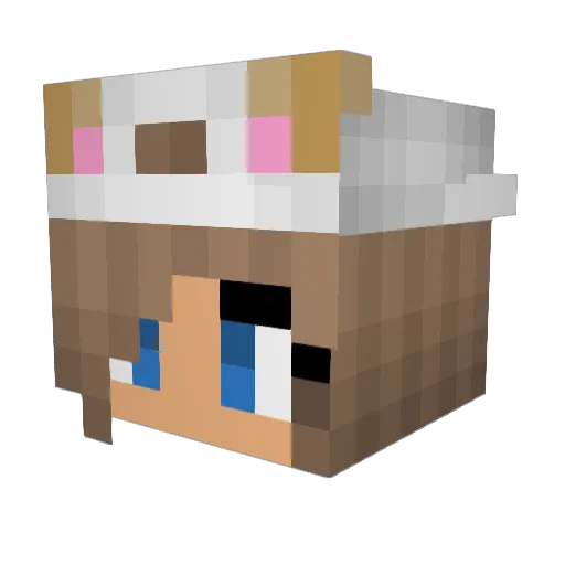 TheGameSquad Minecraft avatar head, 3D render