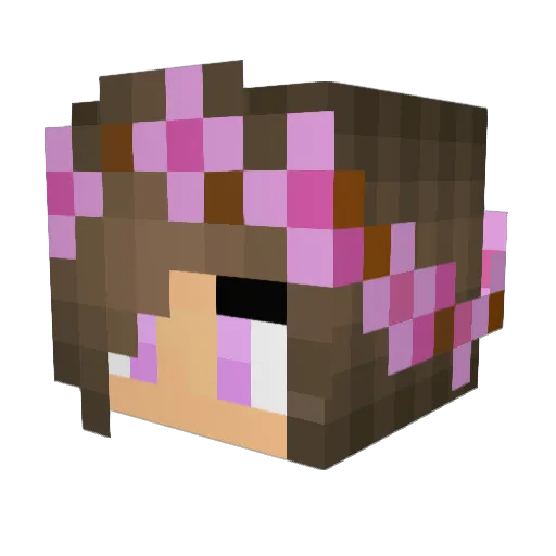 TheGamelover4 Minecraft avatar head, 3D render