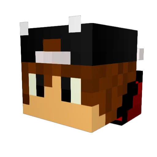 TheGamer1444 Minecraft avatar head, 3D render