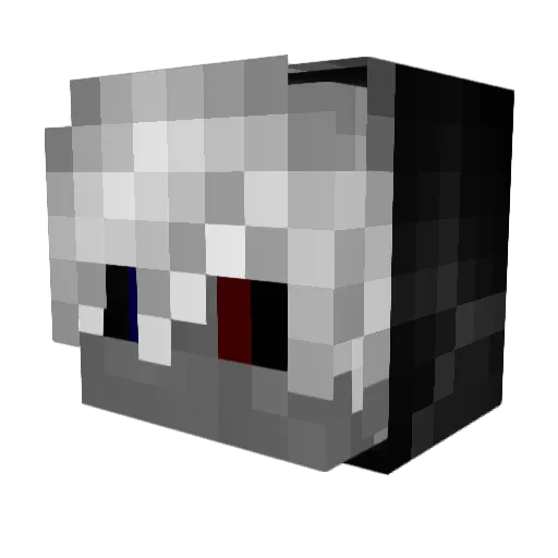 TheGamer2456 Minecraft avatar head, 3D render