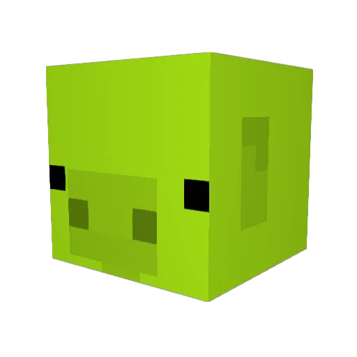 TheGamer89 Minecraft avatar head, 3D render
