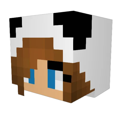 TheGamerGirl_ Minecraft avatar head, 3D render