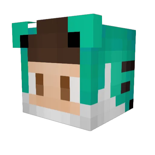 TheGamerJr Minecraft avatar head, 3D render