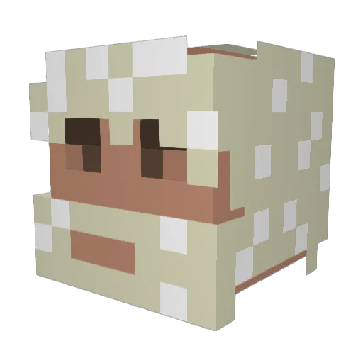 TheGamerNation Minecraft avatar head, 3D render