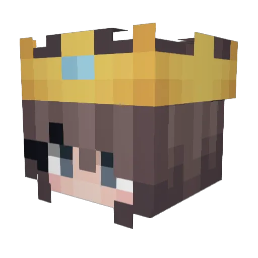 TheGamerPro0131 Minecraft avatar head, 3D render