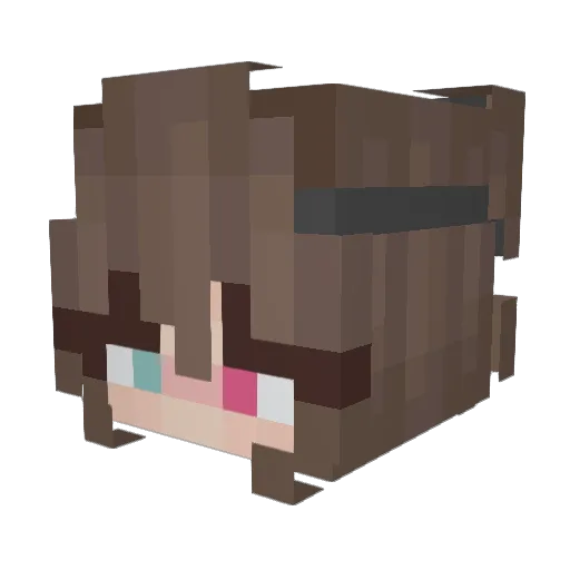 TheGamerioo Minecraft avatar head, 3D render
