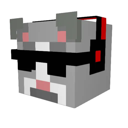 TheGamingCat44 Minecraft avatar head, 3D render