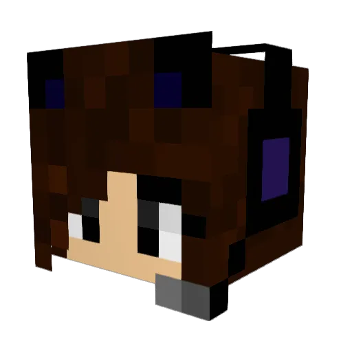 TheGamingFoxx Minecraft avatar head, 3D render