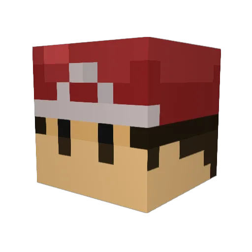 TheGamingMelon12 Minecraft avatar head, 3D render