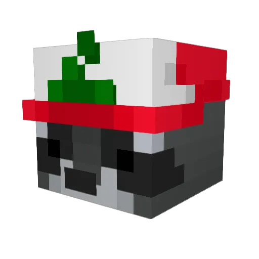 TheGamingRacoon Minecraft avatar head, 3D render