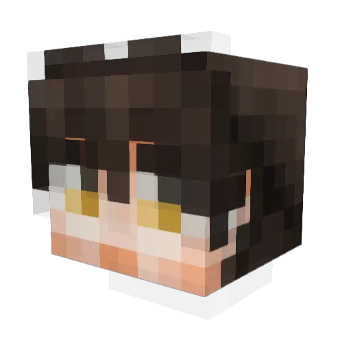 TheGary108 Minecraft avatar head, 3D render