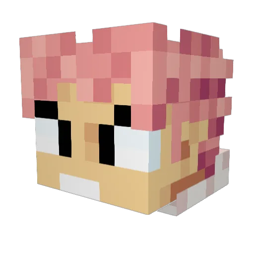 TheGateKeeper666 Minecraft avatar head, 3D render