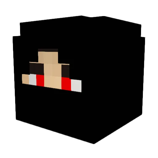 TheGeckoo Minecraft avatar head, 3D render