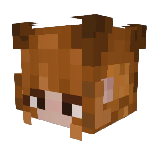 TheGinger76 Minecraft avatar head, 3D render