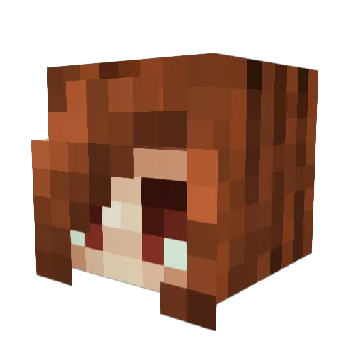 TheGirlN3xtDoor Minecraft avatar head, 3D render