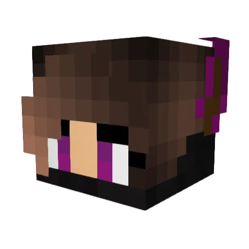 TheGoldenFalcon Minecraft avatar head, 3D render