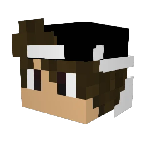TheGoldenSh0t Minecraft avatar head, 3D render