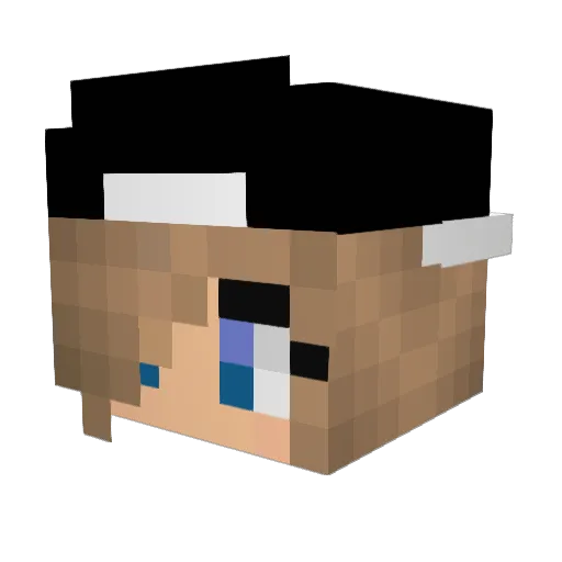 TheGoodCactus Minecraft avatar head, 3D render