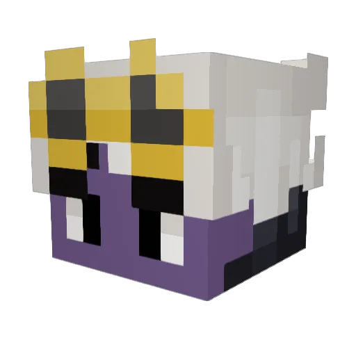 TheGoofiestGrape Minecraft avatar head, 3D render